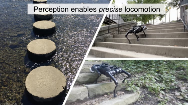 The Future of Intelligent Robots: Insights from Professor Jitendra Malik